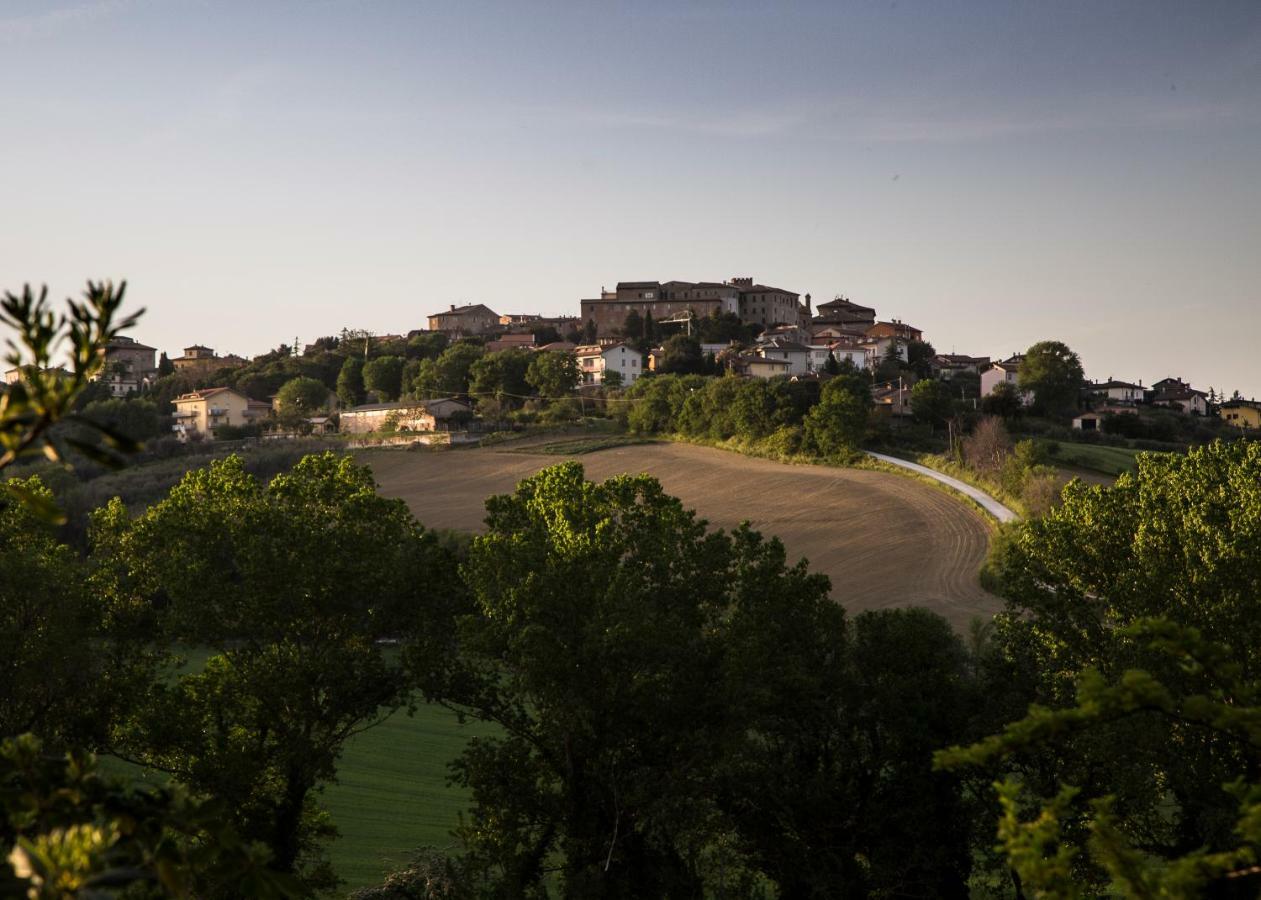 Grande Villa Storica Per Vacanze Con Giardino Privato E Piscina Ostra Εξωτερικό φωτογραφία