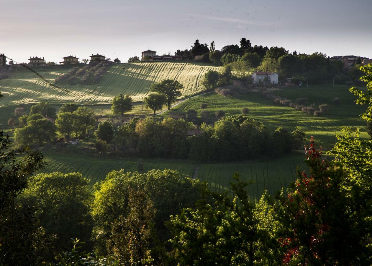 Grande Villa Storica Per Vacanze Con Giardino Privato E Piscina Ostra Εξωτερικό φωτογραφία