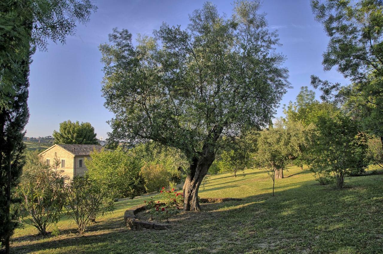 Grande Villa Storica Per Vacanze Con Giardino Privato E Piscina Ostra Εξωτερικό φωτογραφία