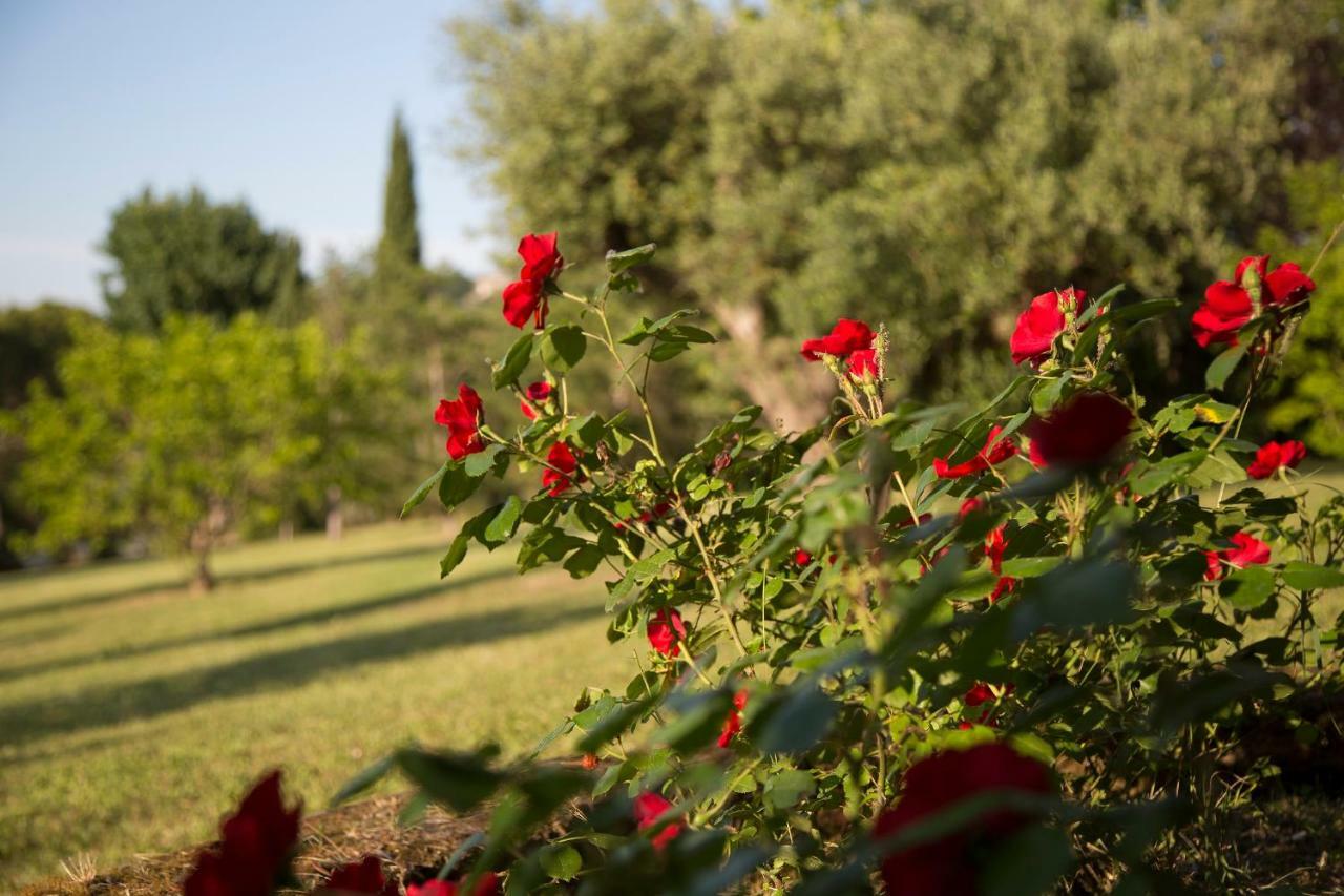 Grande Villa Storica Per Vacanze Con Giardino Privato E Piscina Ostra Εξωτερικό φωτογραφία